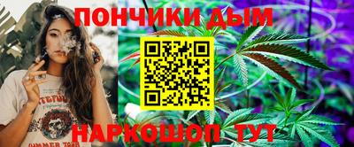 сатива Краснознаменск