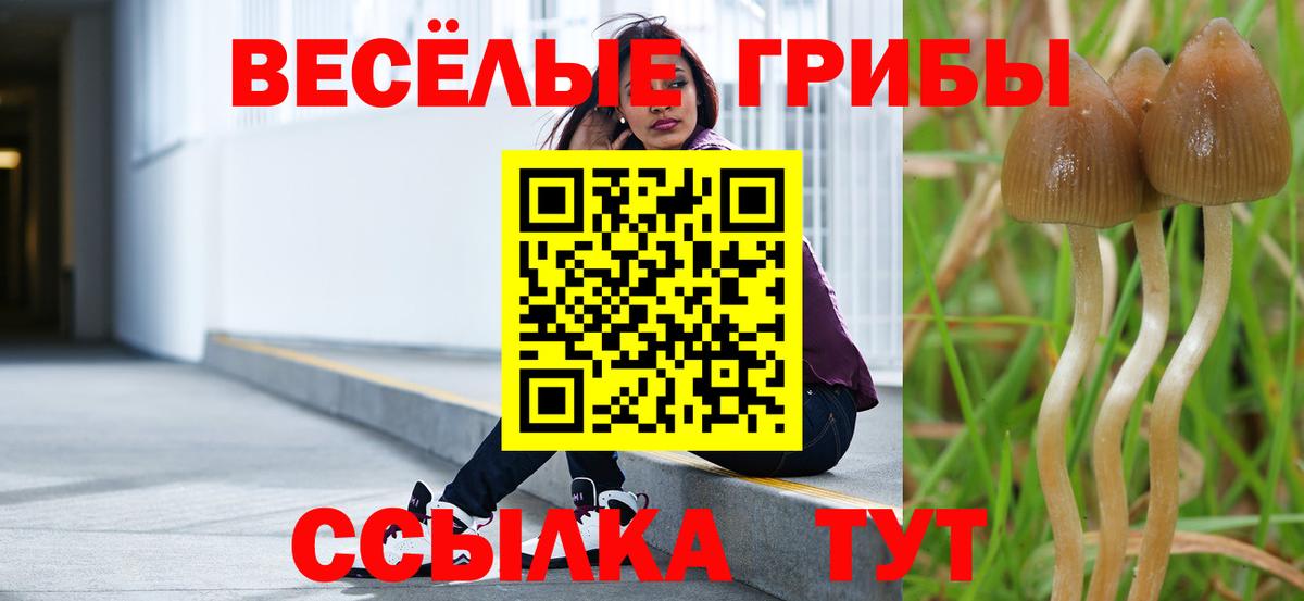 Конаково  Галлюциногенные грибы прущие грибы  Вход с VPN 