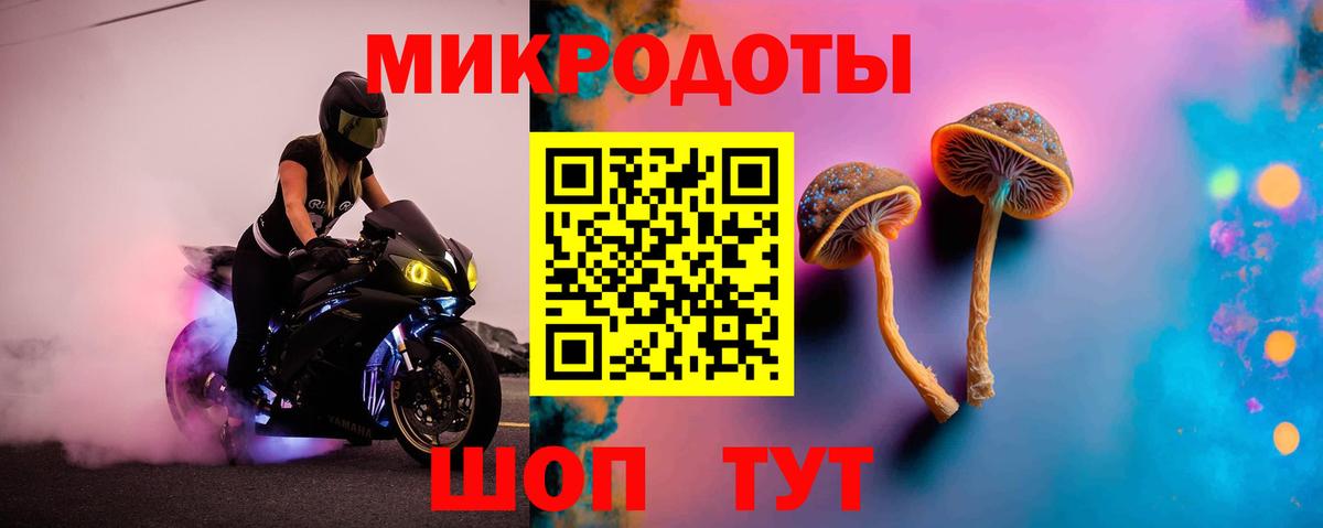 Галлюциногенные грибы Cubensis Конаково