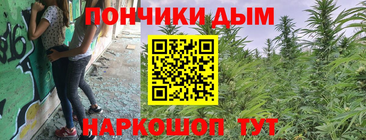 Бошки Шишки White Widow  Марихуана марихуана  МАРИХУАНА White Widow  Конаково  Марихуана сатива  Вход с VPN 